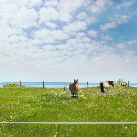 Lejlighed Ferienwohnungen Am Wald - Ferienwohnung Nummer 05